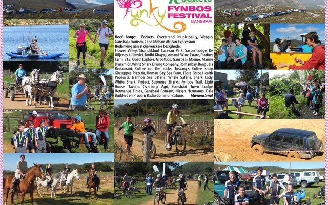 Gansbaai Funky Fynbos Festival Collage_1